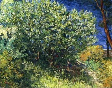 Arbusto lila Vincent van Gogh Pinturas al óleo
